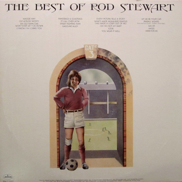 Rod Stewart – The Best Of Rod Stewart 2xLP - Afbeelding 2