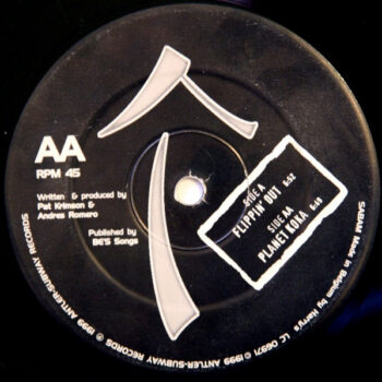 Model 2000 – Flippin' Out