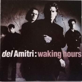 Del Amitri  ‎– Waking Hours