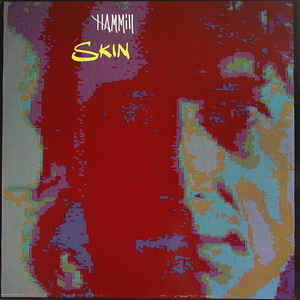Peter Hammill ‎– Skin -0
