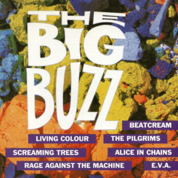 Various ‎– The Big Buzz