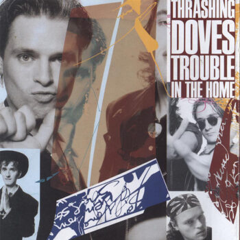 Thrashing Doves ‎– Trouble In The Home