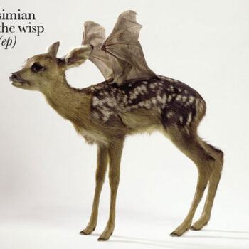 Simian ‎– The Wisp
