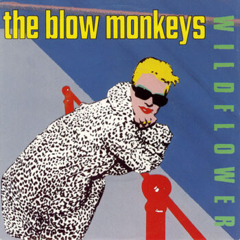 Blow Monkeys, The ‎– Wildflower