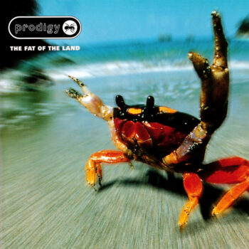 Prodigy, The ‎– The Fat Of The Land
