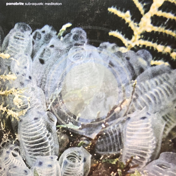 Panabrite – Sub-Aquatic Meditation