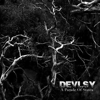 Devlsy – A Parade Of States