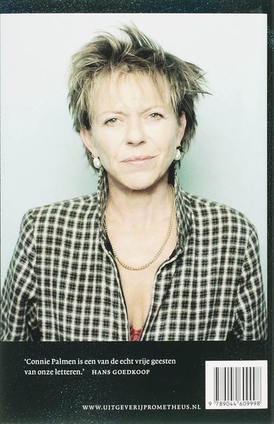 Connie Palmen - Lucifer - Afbeelding 2