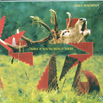 Wave Machines – Wave If You're Really There