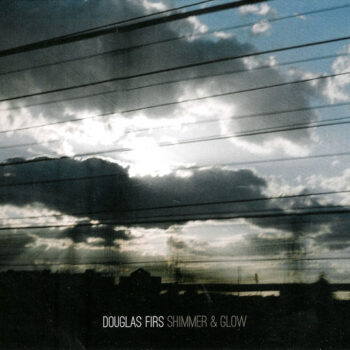 Douglas Firs – Shimmer & Glow