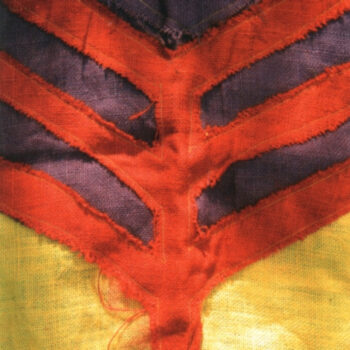 Yeah Yeah Yeahs – Show Your Bones
