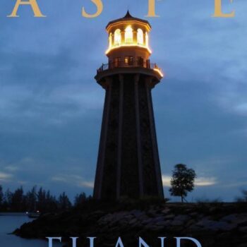 Pieter Aspe - Eiland