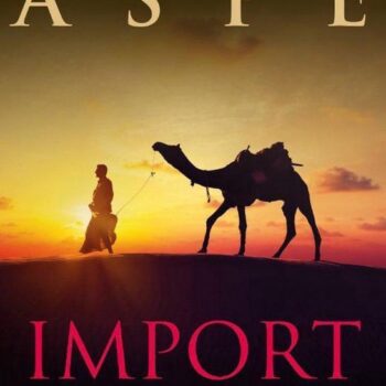 Pieter Aspe - Import