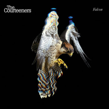 Courteeners, The – Falcon
