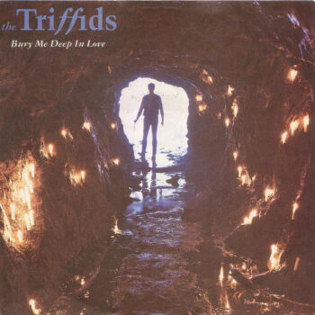 Triffids, The – Bury Me Deep In Love