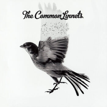 Common Linnets, The – The Common Linnets