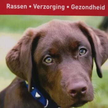Honden