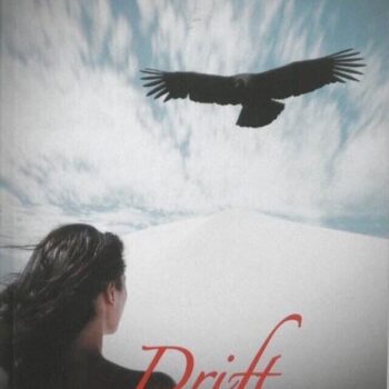 Loes den Hollander - Driftleven