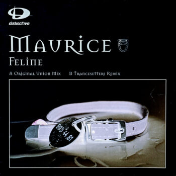 Maurice – Feline