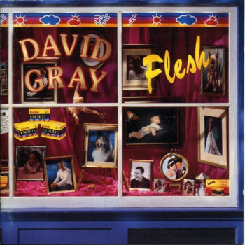 David Gray – Flesh