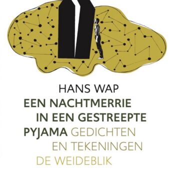 Hans Wap - Een nachtmerrie in een gestreepte pyjama