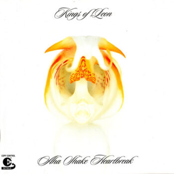 Kings Of Leon – Aha Shake Heartbreak