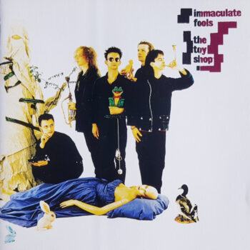 Immaculate Fools – The Toy Shop