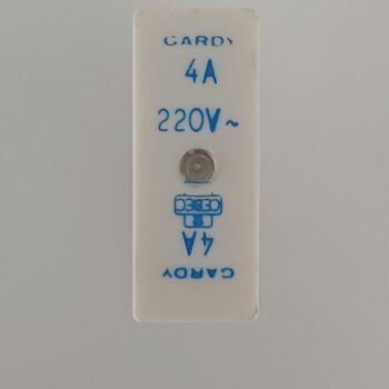 Gardy penzekering 4A 220V 20mm 19104
