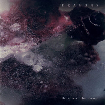 Dragons – Here Are The Roses